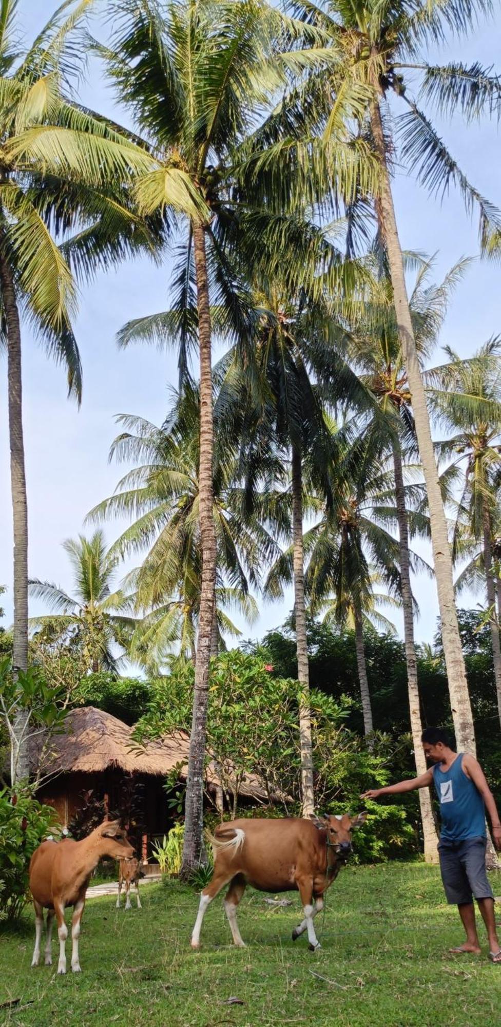 Lendang Eco Lodge Senggigi Exterior photo