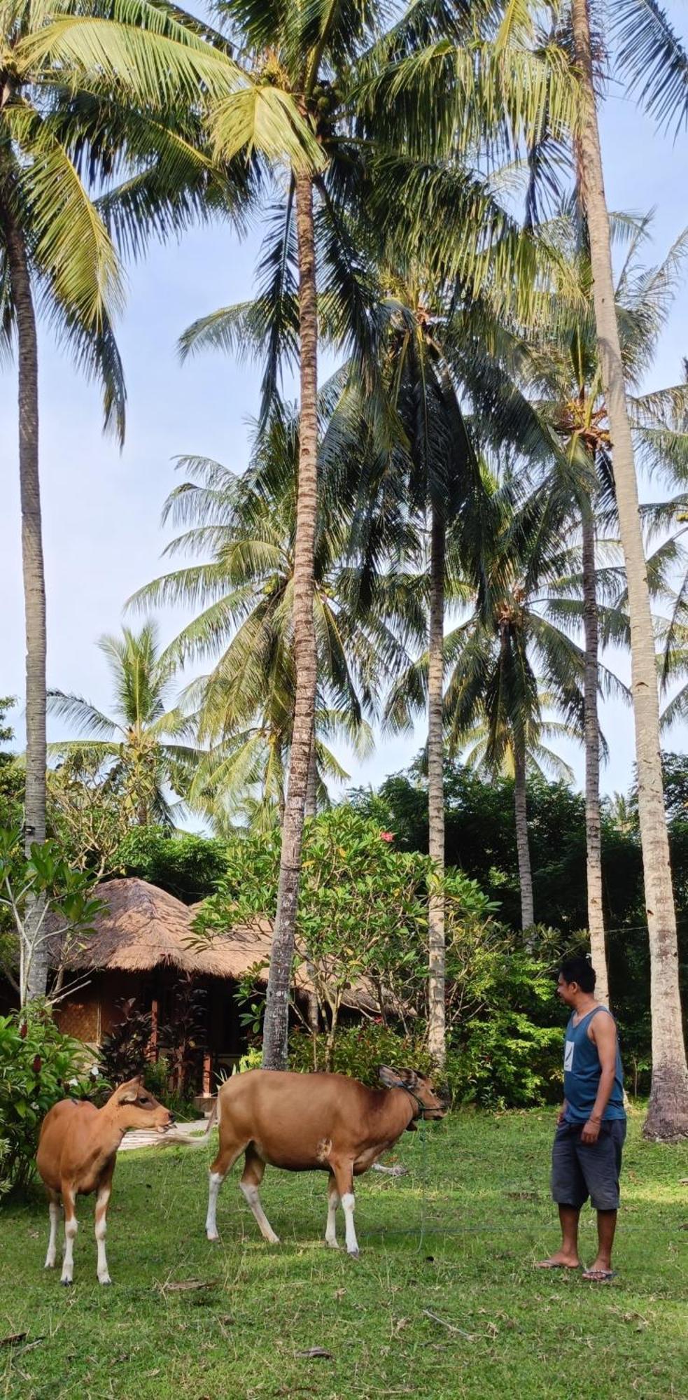 Lendang Eco Lodge Senggigi Exterior photo